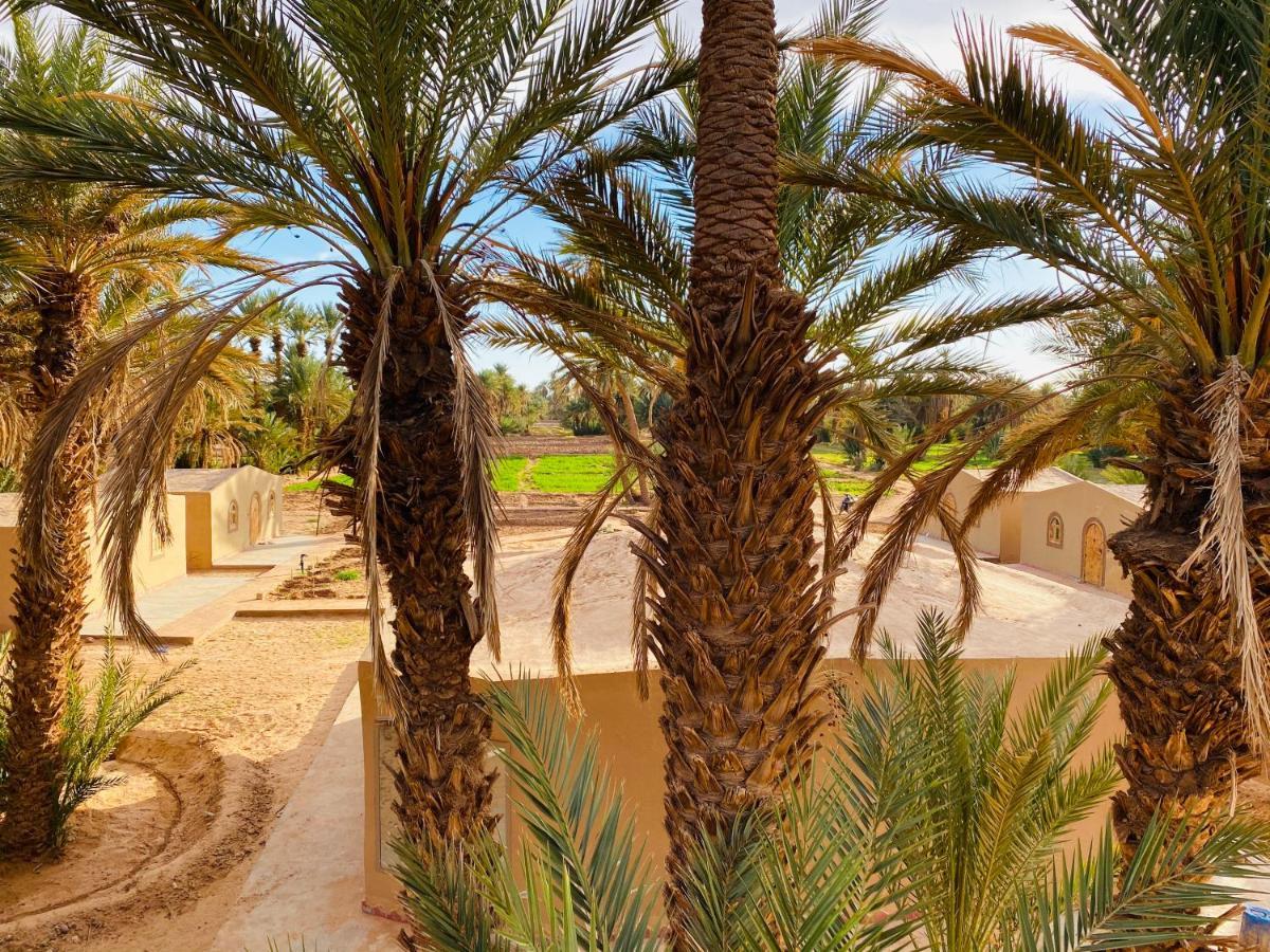 Camp Auberge Sahara Marokko 姆哈米德 外观 照片