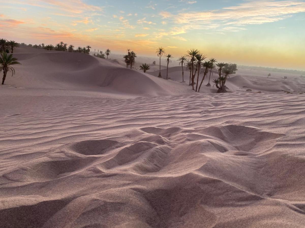 Camp Auberge Sahara Marokko 姆哈米德 外观 照片