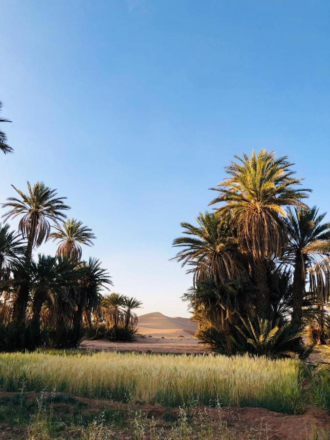 Camp Auberge Sahara Marokko 姆哈米德 外观 照片